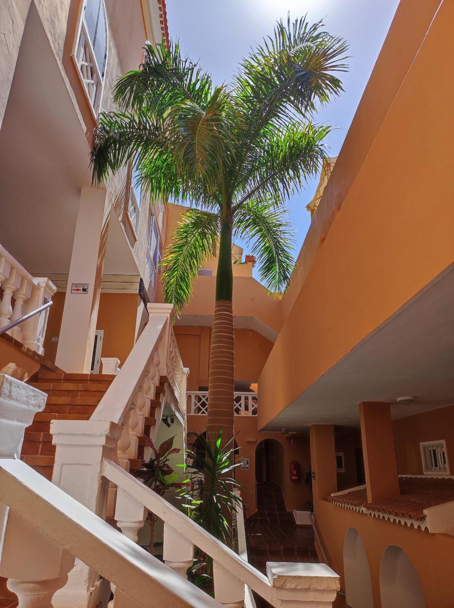Sunshine Escape With Ocean View Apartment *